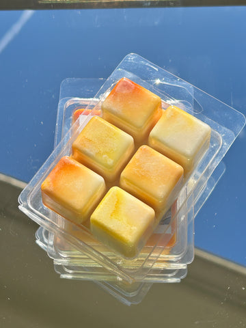 Image of Nana’s Pudding wax melt